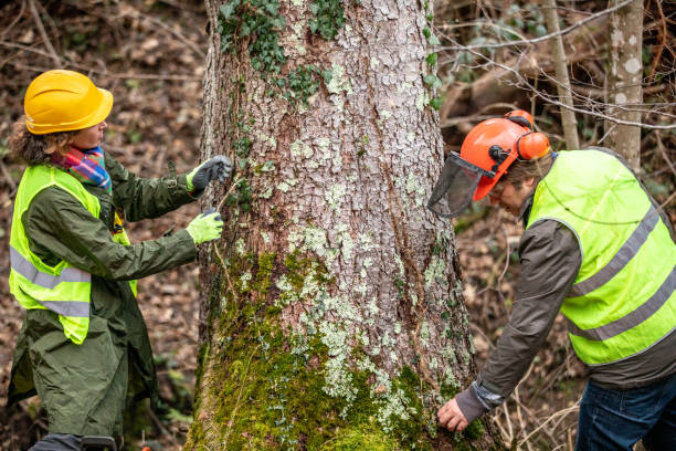  Elm Creek, NE Tree Care Pros